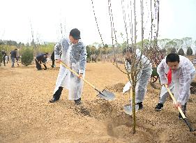 CHINA-BEIJING-LEADERS-TREE-PLANTING (CN)