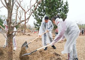 CHINA-BEIJING-LEADERS-TREE-PLANTING (CN)