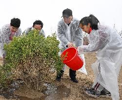 CHINA-BEIJING-LEADERS-TREE-PLANTING (CN)