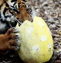 BRITAIN-LONDON-ZOO-EASTER-EGGS