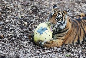 BRITAIN-LONDON-ZOO-EASTER-EGGS