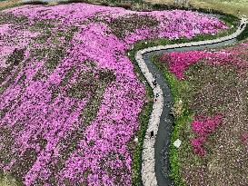 CHINA-QINGMING FESTIVAL-HOLIDAY (CN)