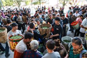 CHINA-GUIZHOU-TEA INDUSTRY (CN)