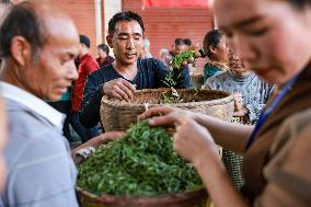 CHINA-GUIZHOU-TEA INDUSTRY (CN)