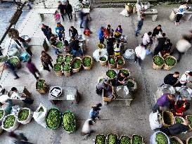 CHINA-GUIZHOU-TEA INDUSTRY (CN)