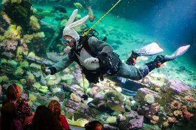 CANADA-VANCOUVER-AQUARIUM-SCUBA DIVER