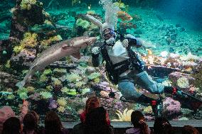 CANADA-VANCOUVER-AQUARIUM-SCUBA DIVER