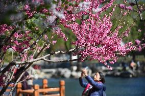 CHINA-BEIJING-PARK-SPRING (CN)