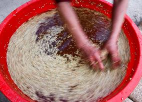 CHINA-GUIZHOU-CENGONG-HYBRID RICE PRODUCTION (CN)