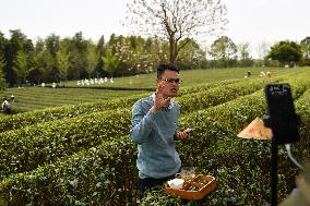 CHINA-HUNAN-CHANGSHA-TEA-TOURISM (CN)