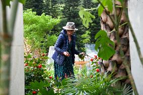 CHINA-SHENZHEN-GREATER BAY AREA-FLOWER SHOW (CN)