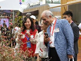 CHINA-SHENZHEN-GREATER BAY AREA-FLOWER SHOW (CN)