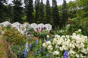 CHINA-SHENZHEN-GREATER BAY AREA-FLOWER SHOW (CN)