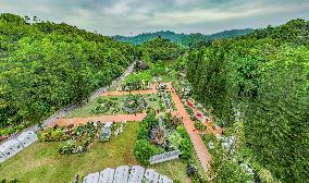 CHINA-SHENZHEN-GREATER BAY AREA-FLOWER SHOW (CN)