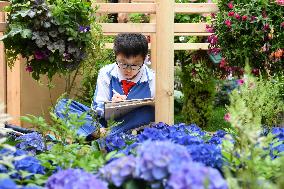 CHINA-SHENZHEN-GREATER BAY AREA-FLOWER SHOW (CN)