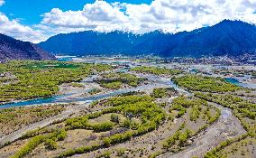 CHINA-TIBET-NYINGCHI-YANI NATIONAL WETLAND PARK-SCENERY(CN)