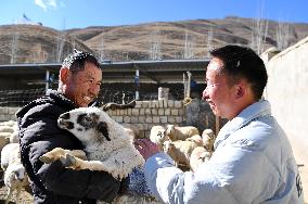 CHINA-TIBET-RURAL REVITALIZATION (CN)