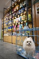 China's booming pet market