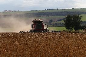 BRAZIL-GOIAS-SOYBEAN HARVEST