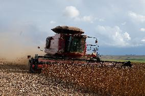 BRAZIL-GOIAS-SOYBEAN HARVEST