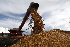 BRAZIL-GOIAS-SOYBEAN HARVEST