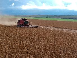 BRAZIL-GOIAS-SOYBEAN HARVEST