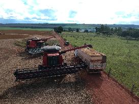 BRAZIL-GOIAS-SOYBEAN HARVEST