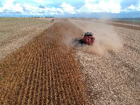 BRAZIL-GOIAS-SOYBEAN HARVEST