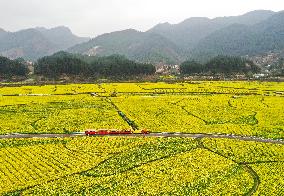 CHINA-GUIZHOU-SPRING SCENERY (CN)