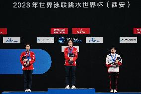 (SP)CHINA-SHAANXI-XI'AN-DIVING-FINA WORLD CUP (CN)