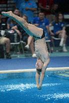 (SP)CHINA-SHAANXI-XI'AN-DIVING-FINA WORLD CUP (CN)