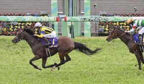 Horse racing: Sol Oriens wins Satsuki-sho
