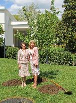 Japan, U.S. first ladies plant cherry tree at White House