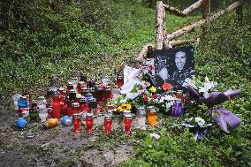 The place where Irish driver Craig Breen crashed and died