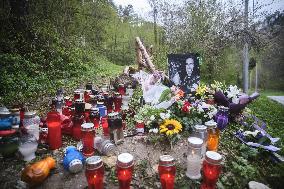 The place where Irish driver Craig Breen crashed and died