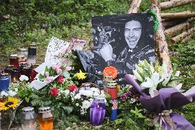 The place where Irish driver Craig Breen crashed and died