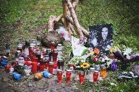 The place where Irish driver Craig Breen crashed and died