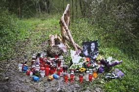 The place where Irish driver Craig Breen crashed and died