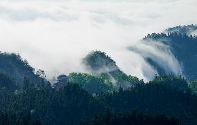 CHINA-CHONGQING-JINFO MOUNTAIN-SCENERY (CN)