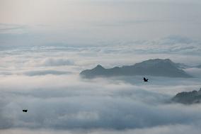 CHINA-CHONGQING-JINFO MOUNTAIN-SCENERY (CN)