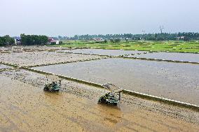 CHINA-HUNAN-YIYANG-AGRICULTURE (CN)