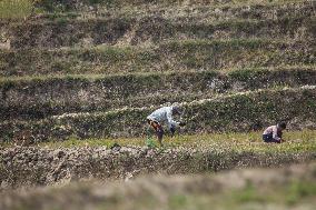 NEPAL-LALITPUR-THE WORLD EARTH DAY