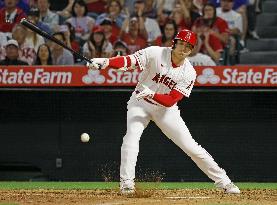 Baseball: Royals vs. Angels