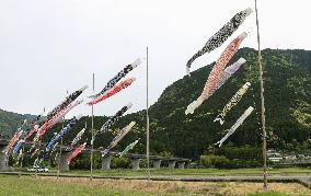 Carp streamers in disaster-hit Wakayama