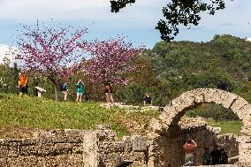 GREECE-ANCIENT OLYMPIA-ARCHAEOLOGICAL SITE-TOURISM