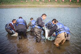 CHINA-HUBEI-FINLESS PORPOISES-RELEASE (CN)