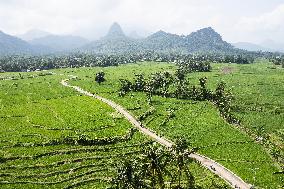 INDONESIA-WEST JAVA-DAILY LIFE-FARMING