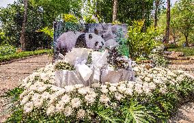 THAILAND-CHIANG MAI-GIANT PANDA-DEATH-MOURNING