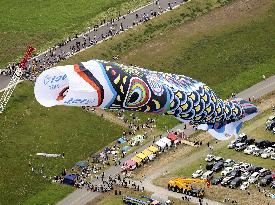 Huge carp streamer in eastern Japan