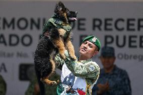 MEXICO-NAUCALPAN-TÜRKIYE-RESCUE DOG